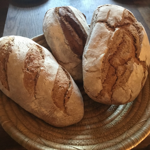 Trois pains d'Etienne Aubert sur une assiette.
